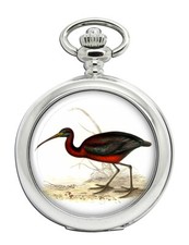 Facinelle Pocket Watch