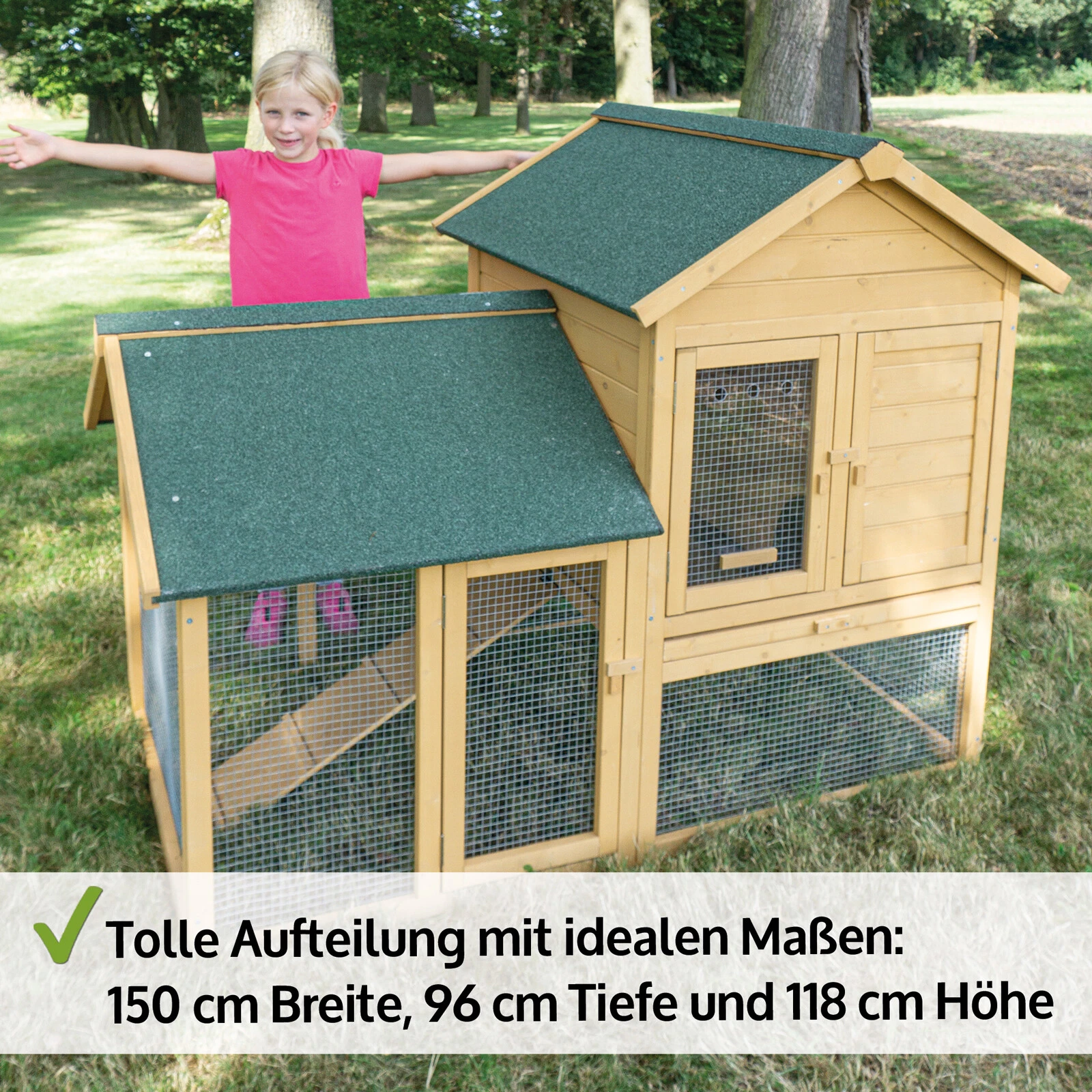 Bild 6 von 12