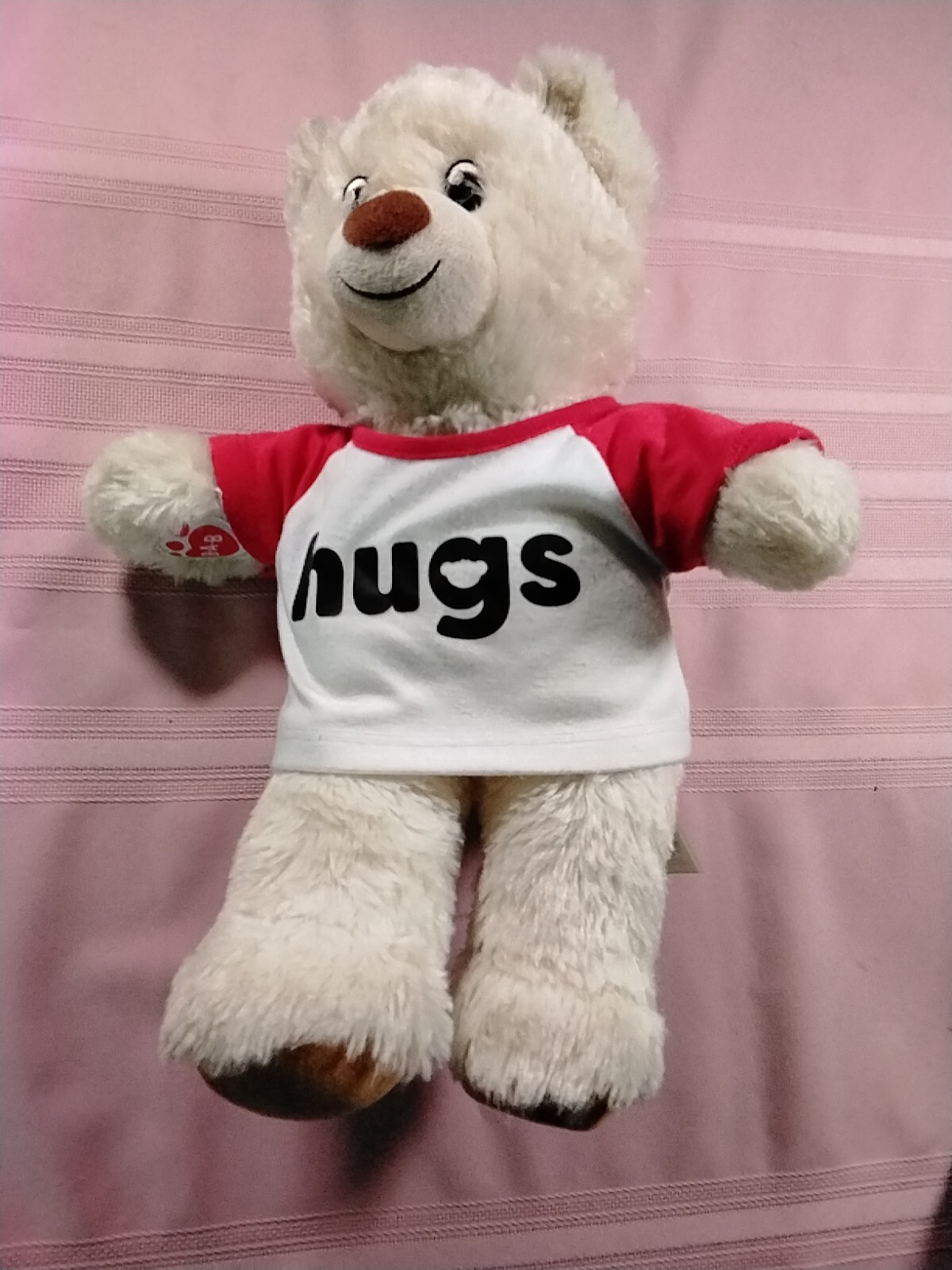 Build A Bear Workshop Plush Bear w/ Hugs T-Shirt