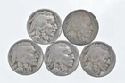 BETTER Lot 1927-D 1927-S 1929-D 1920-D 1926-D Buffalo Nickel Collection *135