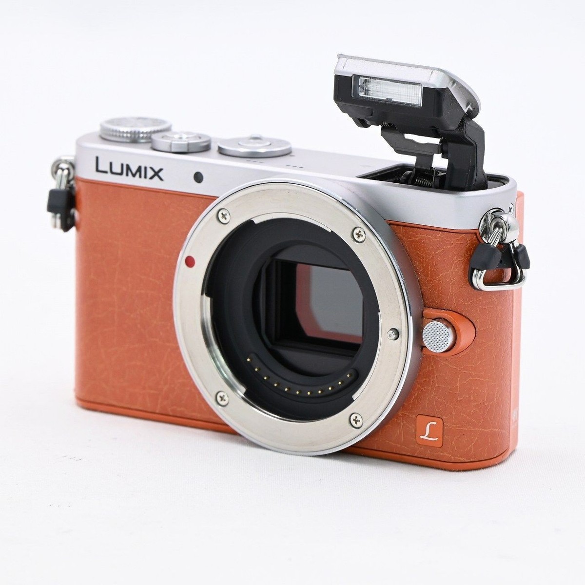 Panasonic LUMIX DMC-GM1 Film Camera Micro Four Thirds Orange with