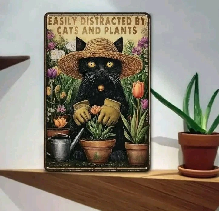 Placa de metal facilmente distraída por plantas de gatos 8x12 vintage decoração de parede de gato presente - Imagem 2 de 4
