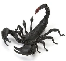 Bandai Gashapon Scorpion Action Figure Emperor  Scorpion 10 cm Japan