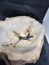 Versteinertes Holz,Schale,3450gramm,21x20x6cm,Insel Java.