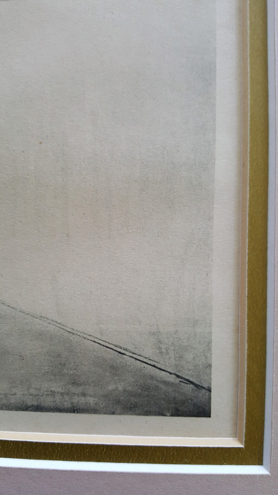 Picture 6 of 8