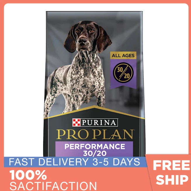 High calorie high protein dog best sale food
