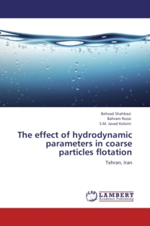 Thumbnail - Behzad Shahbazi (u. A.) | The Effect Of Hydrodynamic Parameters In