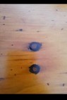 Pine Tilt Top Tavern Table Settee 19th Century (E) — photo 10