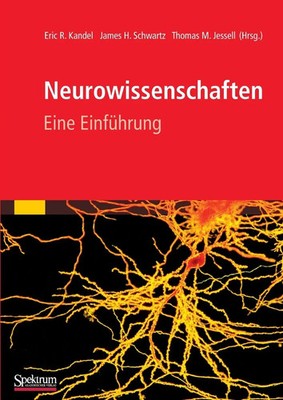 Neurowissenschaften | Eine Einführung | Eric R. Kandel (u. a.) | Taschenbuch