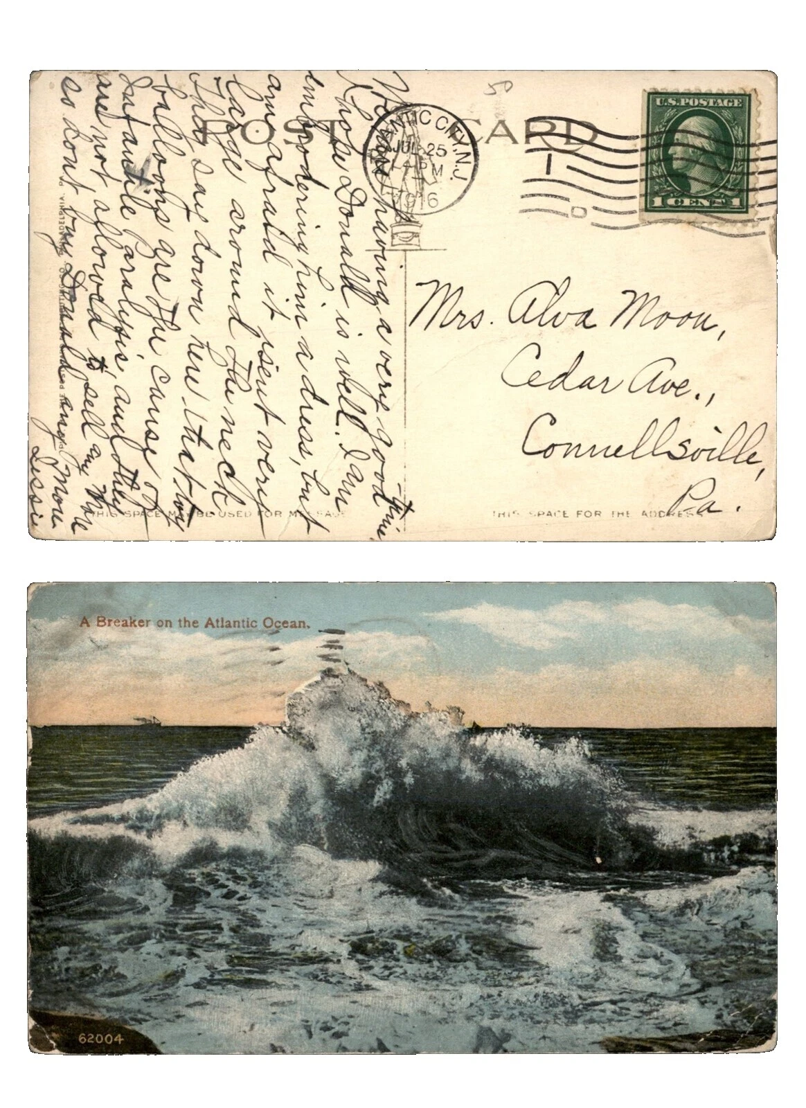 Nature Used United States Stamps