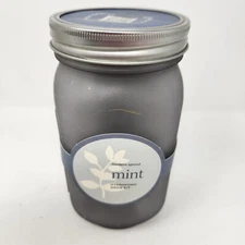 Modern Sprout Mint Garden Jar hydroponic grow kit C3