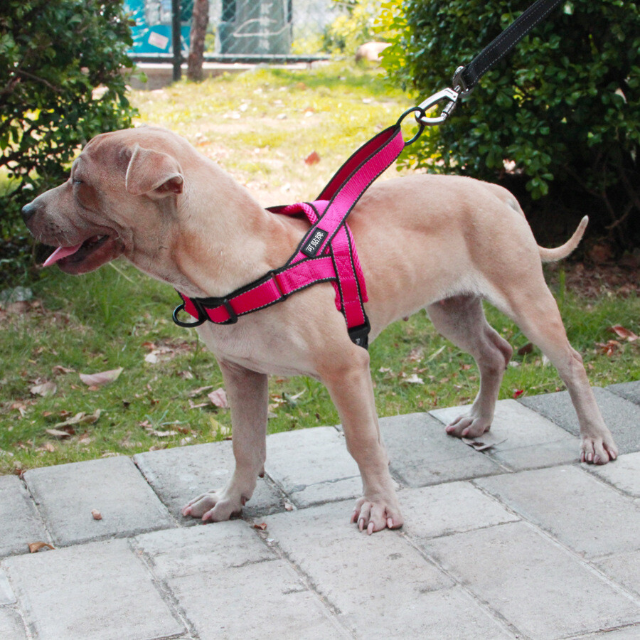 Dog Harness Leash Rope Set Adjustable Dogs Chest Back Traction Rope Durable Outd