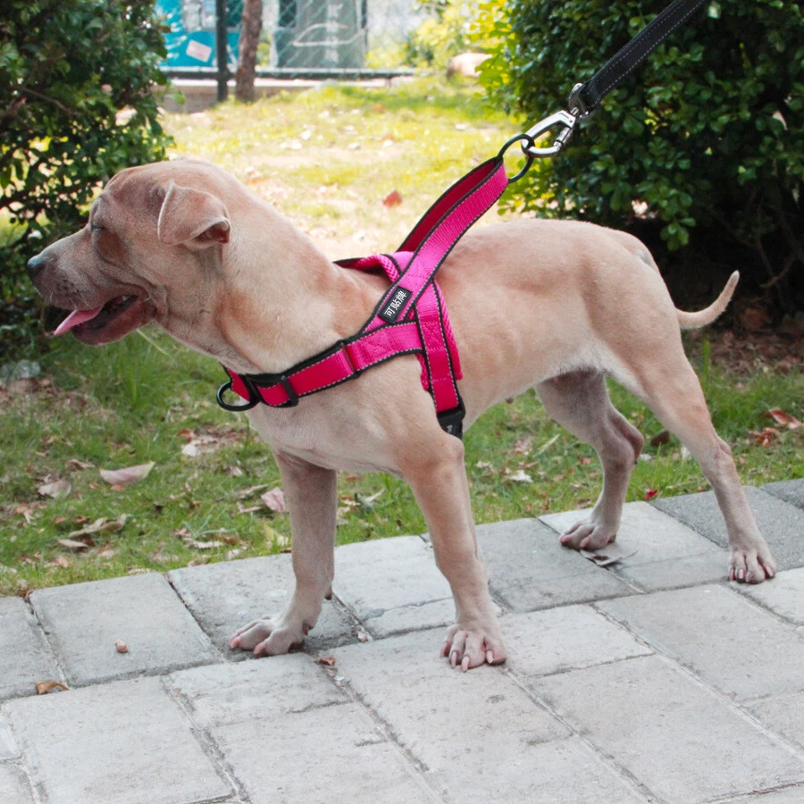 Dog Harness Leash Rope Set Adjustable Dogs Chest Back Traction Rope Durable Outd