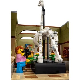 LEGO 10326 : Natural History Museum Building Kit for Adults, Build and Display
