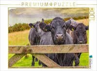 Calvendo Puzzle Cows In Exmoor National Park | 1000 Pieces, Finished Size 25.2 ×