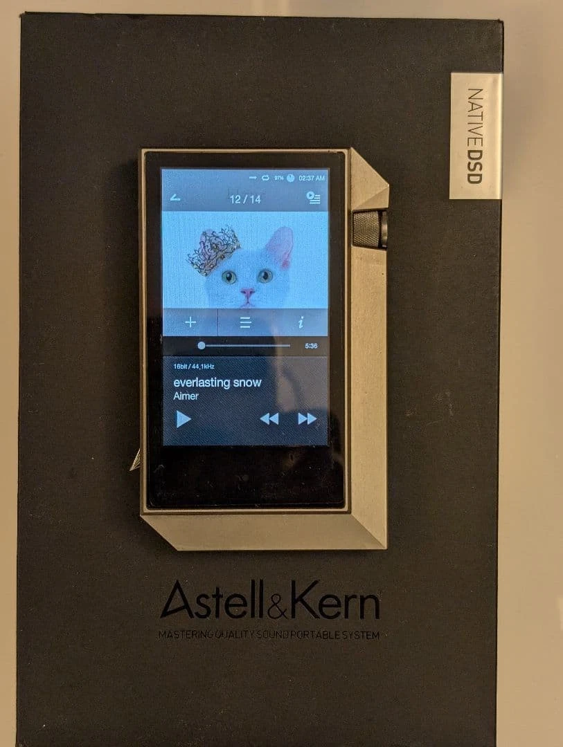 Astell&Kern AK240 Audio MP3 Players for sale | eBay