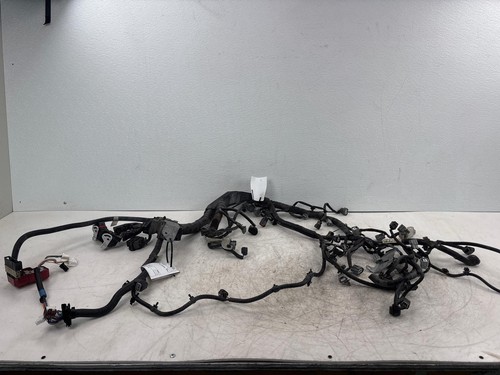 2020 - 2024 Nissan Murano 3.5L AWD Engine Wire Wiring Harness OEM 24011-9UH0A