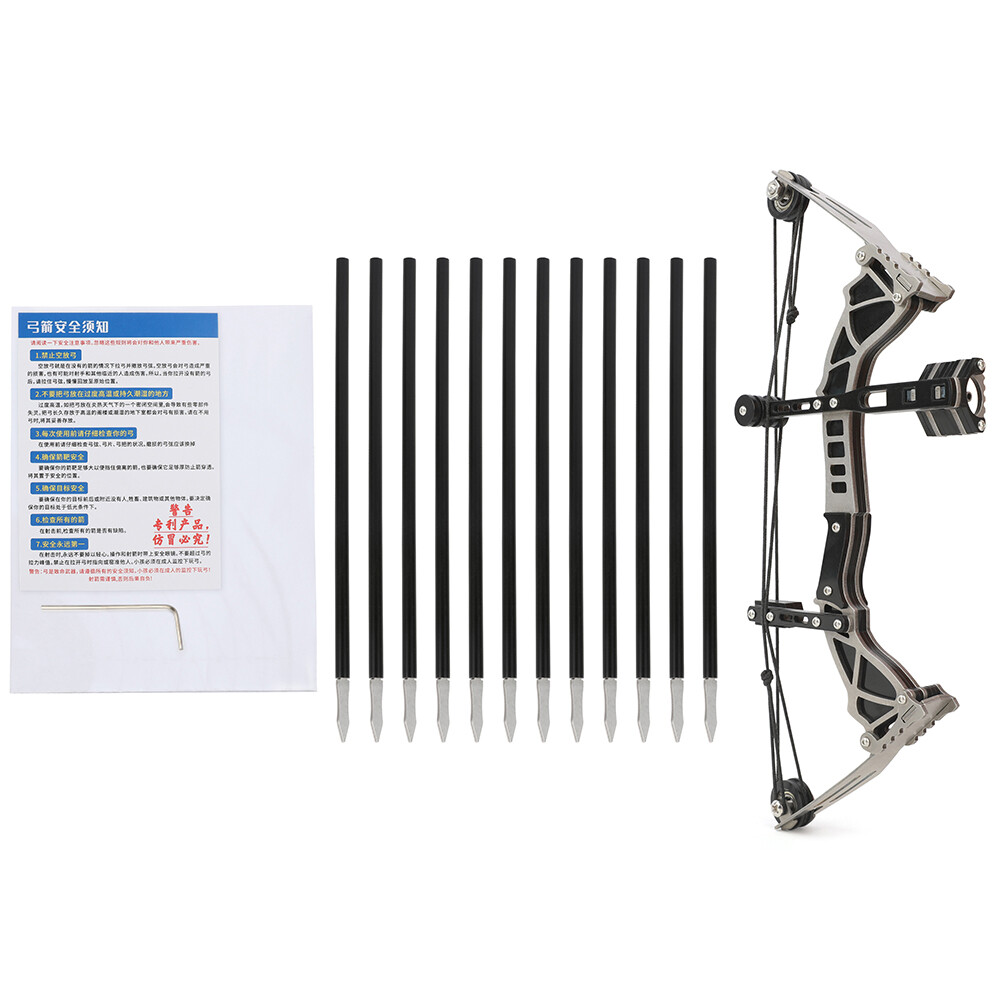 Mini Kit Arc Composé De Poche 9,5'' – 12lb, Avec Flèches Et Cible, Pour Enfant
