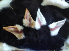 Brown White Dobermann Dog Shiba Ears Hairhoop Headband Headwear For Cosplay