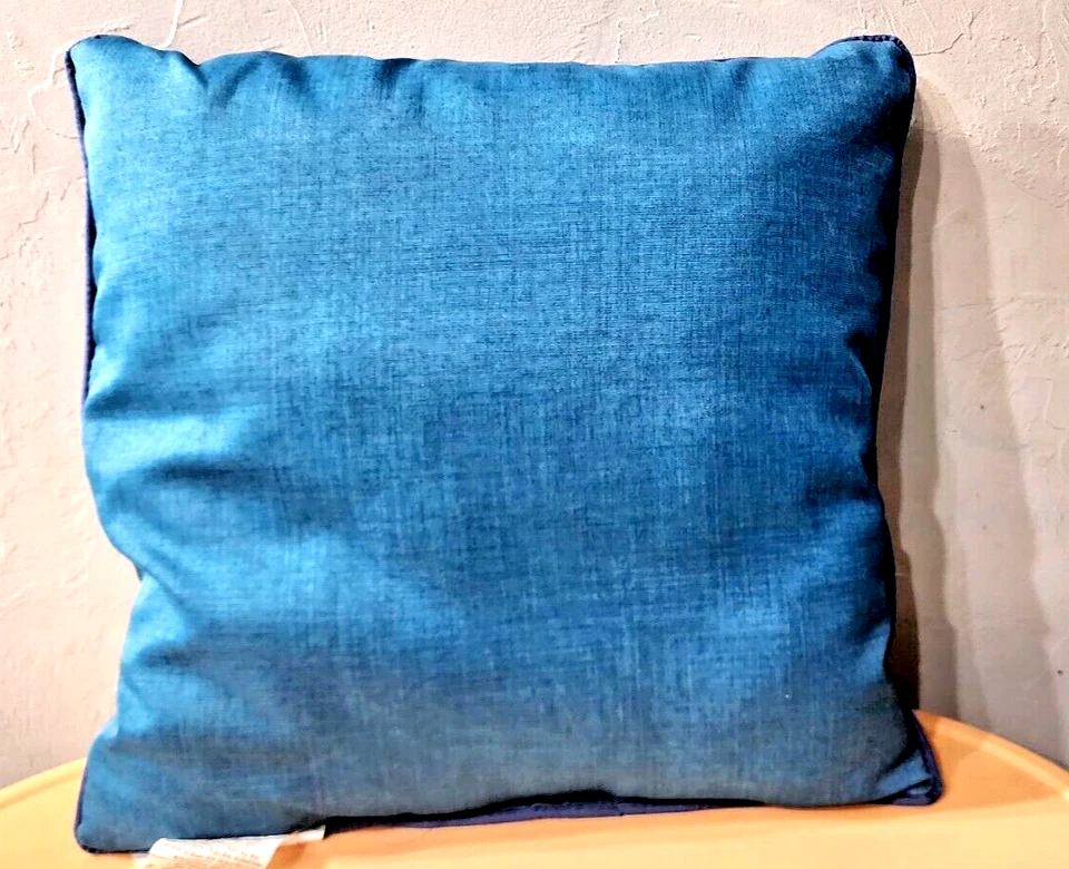 18 英寸 x 18 英寸户外/室内枕头防褪色-预先拥有。 — 第 2/4 张图片