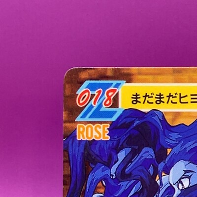 Rose TCG Carddass Street Fighter 2 Zero Super Famicom Video Game