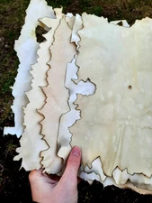 Tea-Aged Burnt Edge Paper / RPG / TTRPG Supplies / Aged Paper / Coffee aged