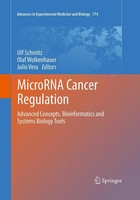 Ulf Schmitz (U. A.) | Microrna Cancer Regulation | Taschenbuch | Englisch (2016)