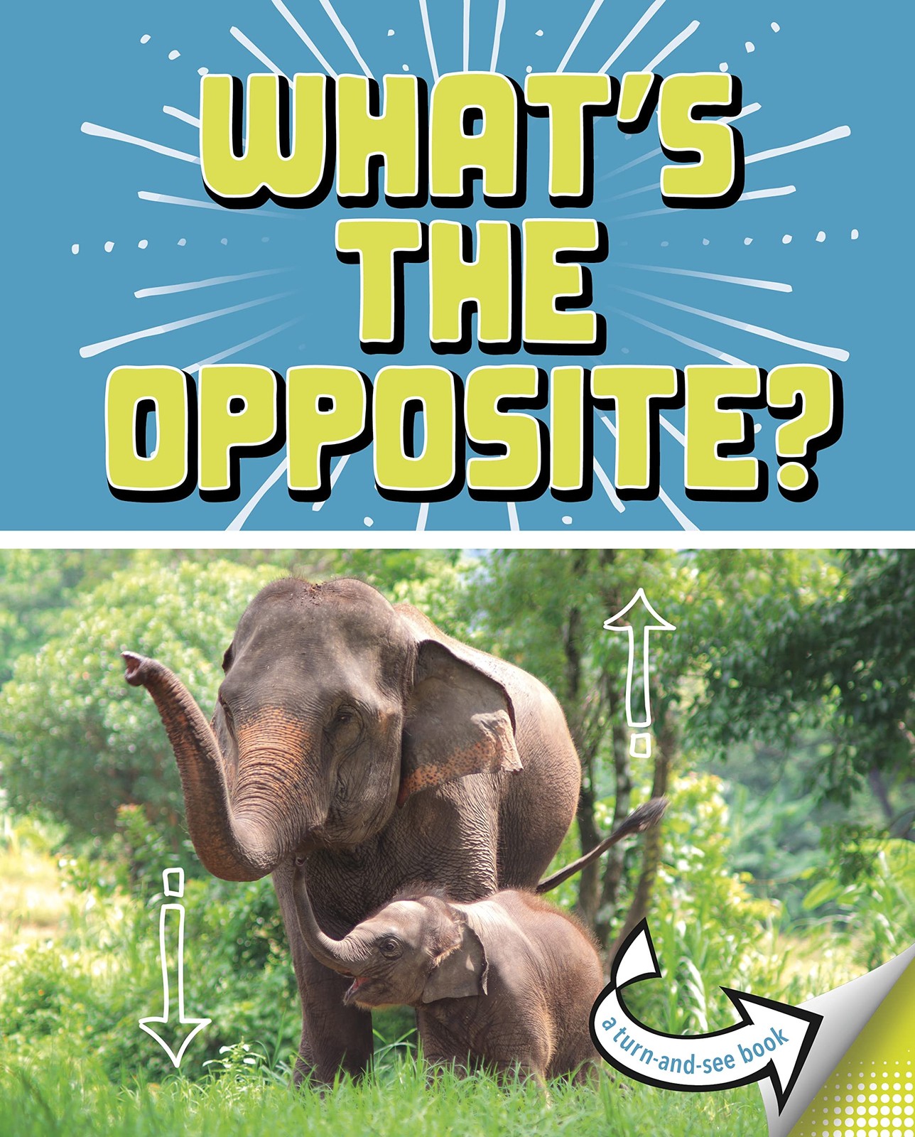 What's the Opposite?: A Turn-and-See Book (What's Next?) By Cari Meister