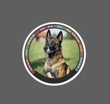 Belgian Malinois Sticker Dog Bone Pet Friend Athlete Gift Waterproof NEW