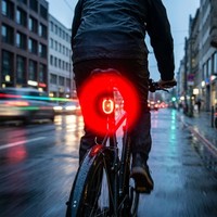 Busch&MüLler Batterie-DiodenrüCklicht Secula Stvzo