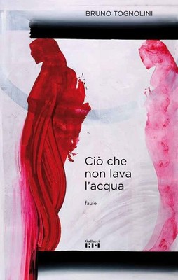Buch - Bruno Tognolini - Co Che Non Lava L'acqua - Gallucci