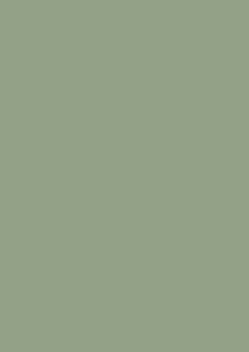 Farrow & Ball Modern Emulsion 5L, All 132 Colours Available, Mixed to Order - Picture 337 of 403