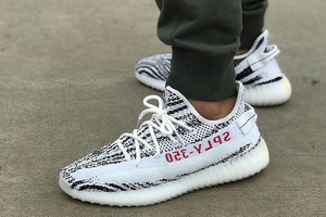 scarpe yeezy zebra