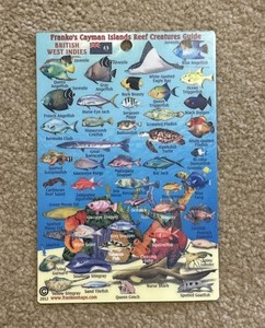 Franko’s Cayman Islands Reef Creature Guide Fish ID LAMINATED Card  Snorkeling
