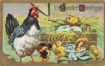 c1910 Hen Eggs Chick Feeding  Easter P465