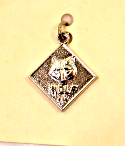 Vintage BSA Boy Scouts of America- Rank Charms 1970s-1980s - Picture 39 of 40