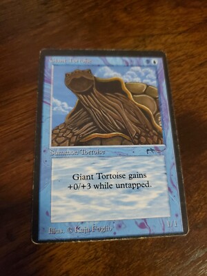 山　Arabian Nights③ Giant Tortoise x1 (dark), Arabian Nights set, MP see photos, WOTC