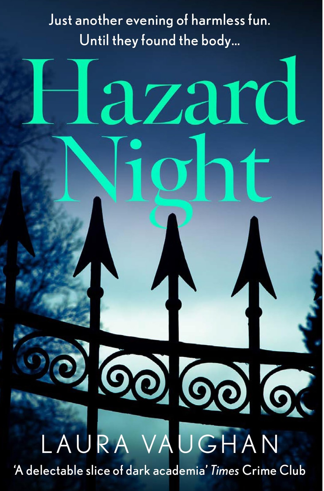 Hazard Night : 'Immersive, Compelling, And Intensely Atmospheric' Andrea Mara Laura Vaughan - Image 8