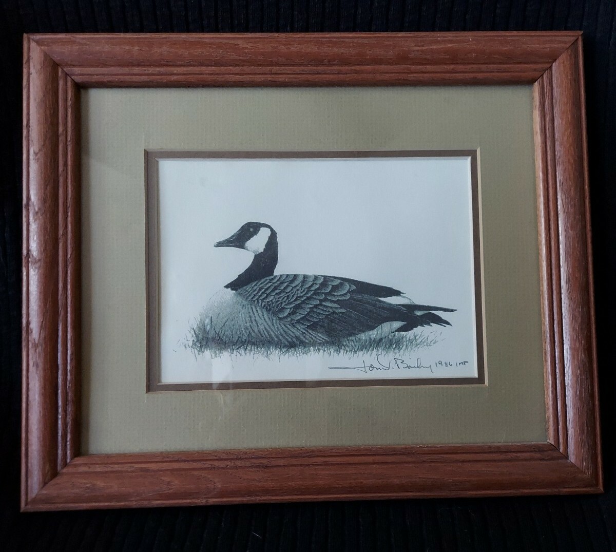 Vintage Framed Prints Waterfowl by Jon D Bailey-Pair UK