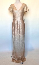 Adrianna Papell Pink Blush Ombré Sequin Gown NWT Size 2 Retails $249 Price $96