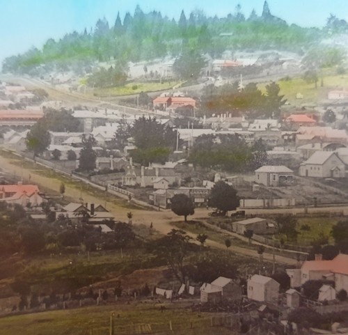 Souvenir DALYESFORD VICTORIA Glass Dish - Photo View WOMBAT HILL 1920's/30's - Picture 3 of 5