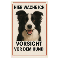 Dog sign Border Collie warning sign metal sign  20x30cm  Metal sign