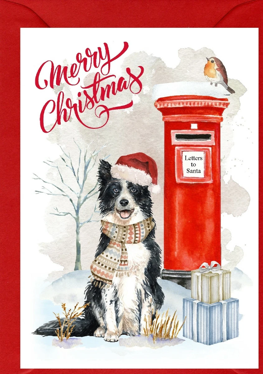 Border collie christmas cards sales