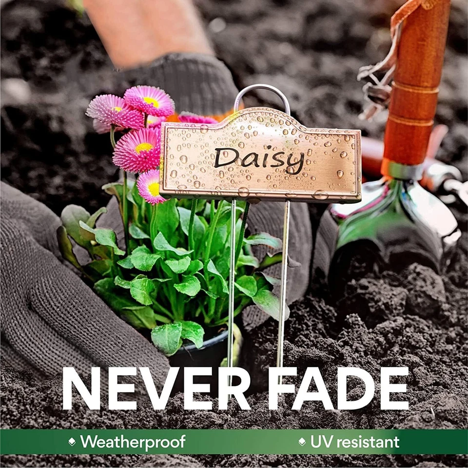 25*Metal Plant Labels Weatherproof Stainless Steel 304Garden Markers For Outdoor - Image 2 of 4