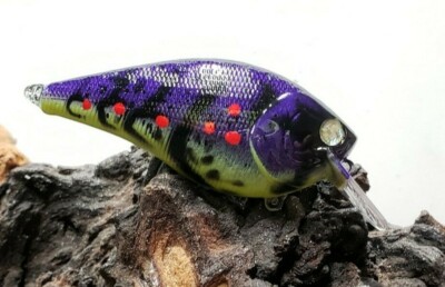 Appât Crankbait 2,5 Carrés – Custom Peint écrevisse, Pour