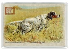 ENGLISH SETTER DOG FRIDGE MAGNET GREAT GIFT