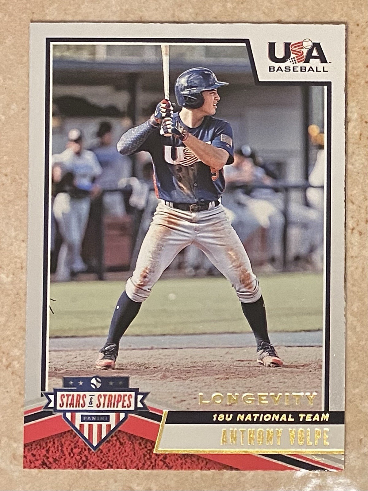 2019 Panini USA Baseball Stars & Stripes - Anthony Volpe #47 Longevity (RC)