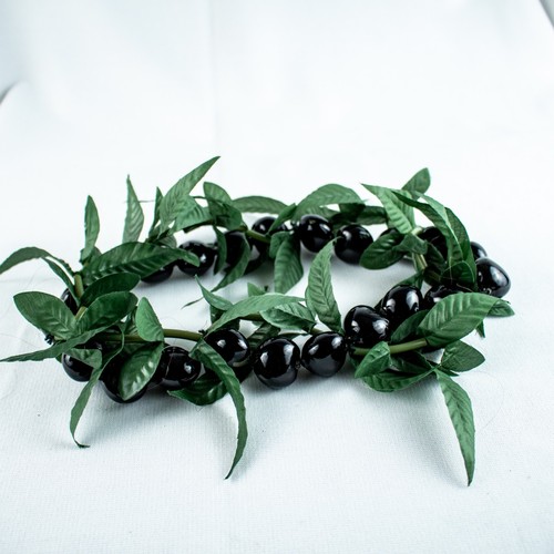 Vintage 1990's Green Black Kukui Nuts Hawaii Floral Hula Dance Leis Headband
