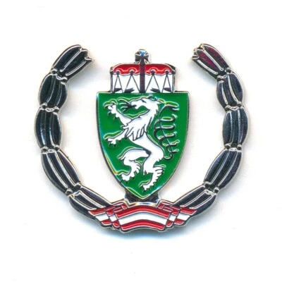 HEGIBAER Österreich Bundesland Steiermark Graz Edel Pin Metall Anstecker Ö1