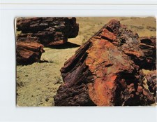 Postcard Petrified Logs Petrified Forest National Park Arizona USA